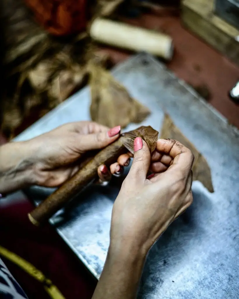 Woman hands applying wrapper on cigar